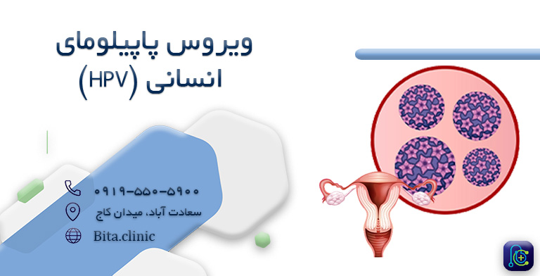 ویروس پاپیلومای انسانی (HPV)